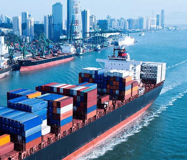 Решили проблемы с конфискацией санкционного товара и штрафа в 600 тыс. евро — фото 1